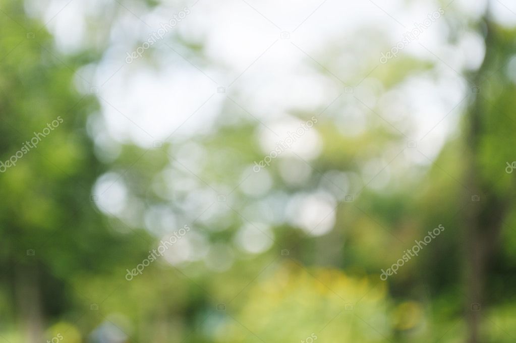 Green bokeh from tree background