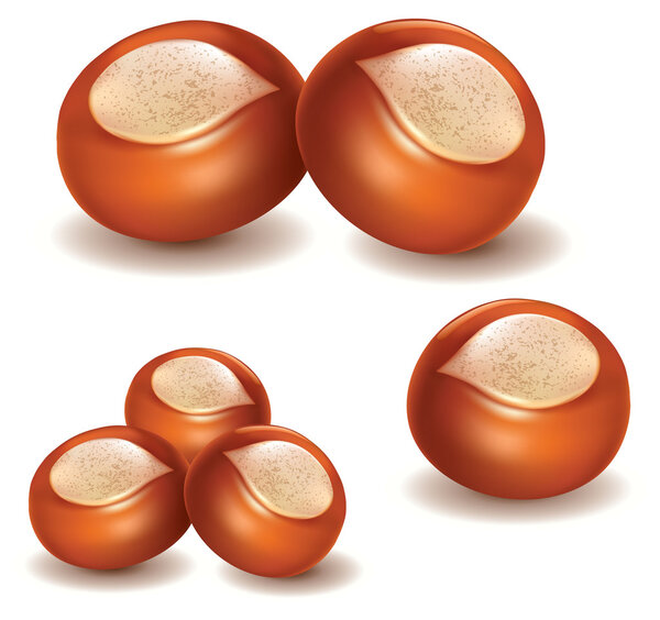 группа орехов ши
