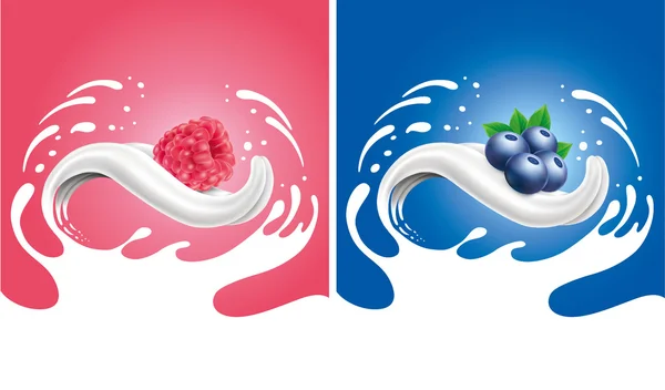 Milk splash tongue with raspberry, blueberry — Stock Vector