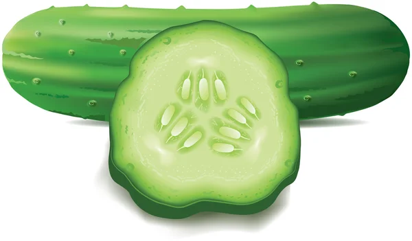 Pepino fresco y rebanada — Vector de stock