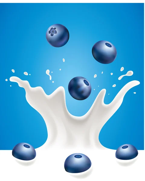 Milk splash with blueberry — Stock Vector