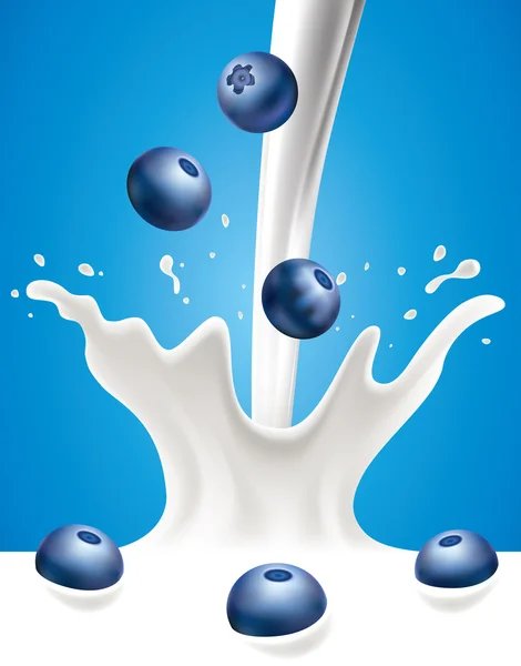 Milk splash with blueberry — Stock Vector