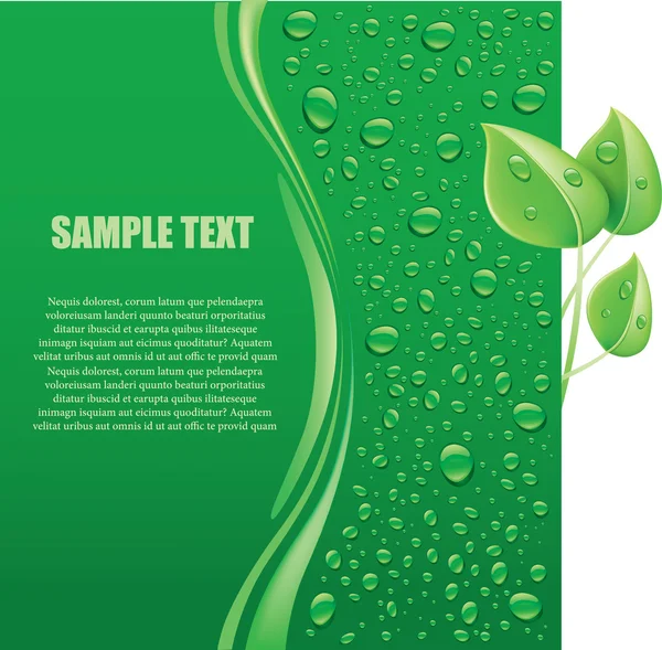 Gouttes d'eau sur fond vert avec place pour le texte — Image vectorielle