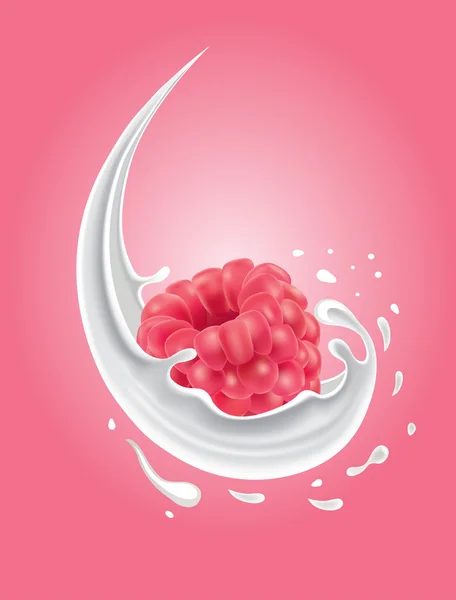 Frambuesa en salpicaduras de leche — Vector de stock