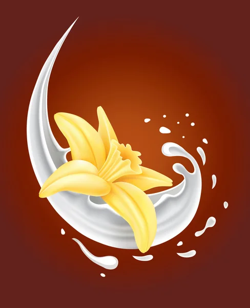 Milk splash with vanilla flower on chocolate background — Stock Vector