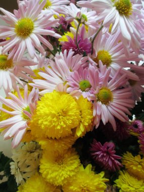 Papatya ve Kasımpatı renkli buket