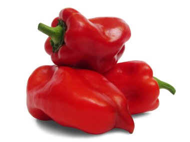 Büyük parlak kırmızı biber