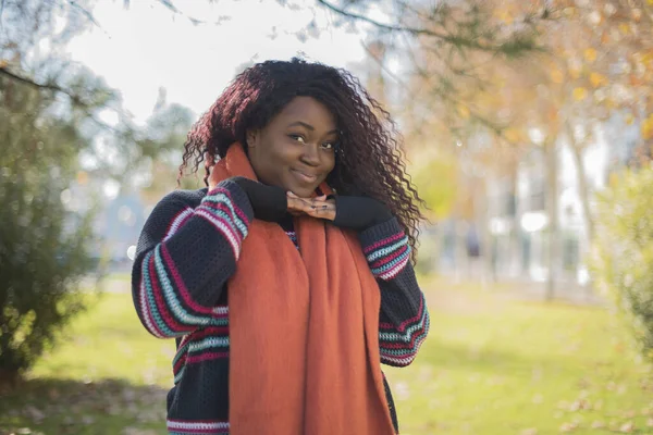 Jong Mooi Afrikaans Amerikaans Vrouw Dragen Trui Sjaal Poseren Herfst — Stockfoto