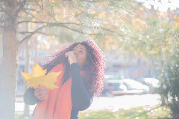 Joven Hermosa Mujer Afroamericana Con Suéter Bufanda Con Hoja Parque —  Fotos de Stock