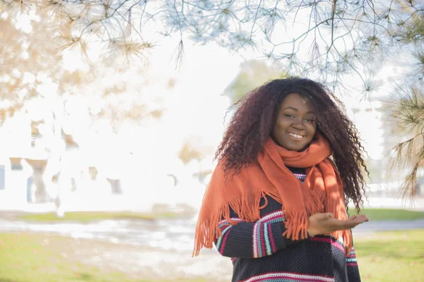 Jovem Bela Mulher Afro Americana Sorrindo Com Palma Aberta Parque — Fotografia de Stock