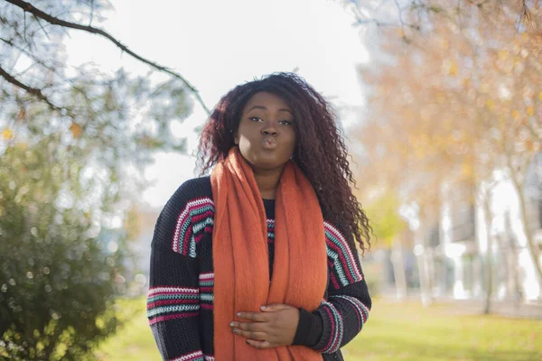 Güz Parkında Renkli Kazak Giyen Genç Güzel Bir Afro Amerikan — Stok fotoğraf