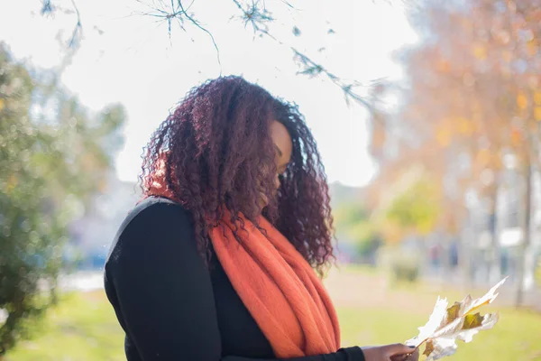 Joven Hermosa Mujer Afroamericana Con Suéter Bufanda Sosteniendo Hoja Parque —  Fotos de Stock