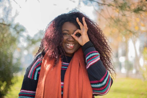 Jong Mooi Afrikaans Amerikaans Vrouw Dragen Trui Sjaal Gebaren Herfst — Stockfoto