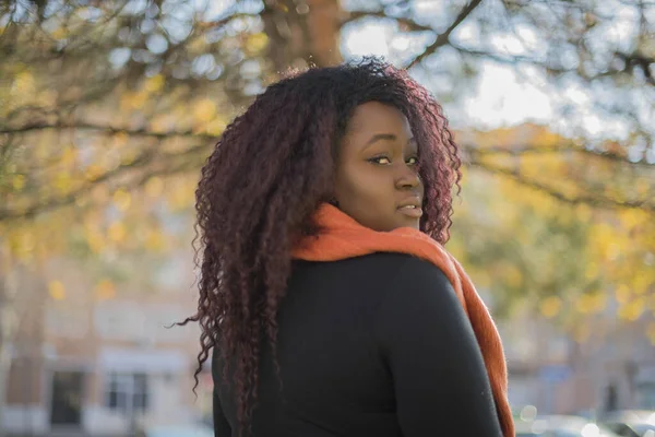 若い美しいアフリカ系アメリカ人女性は 秋の公園でポーズセーターとスカーフを着ています — ストック写真