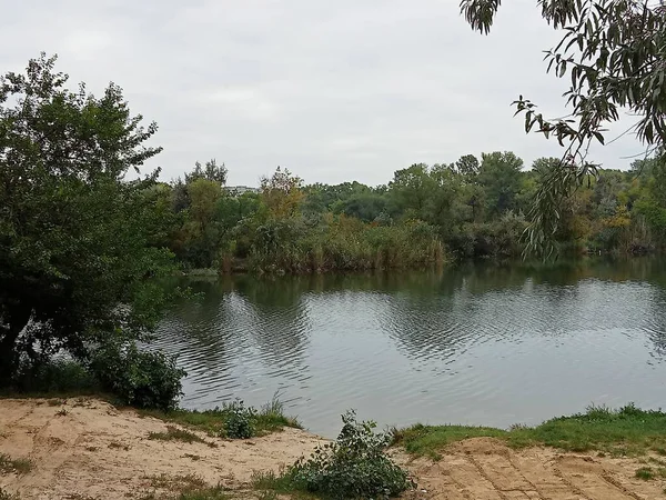 Sakin suyu, yeşil ağaçları ve ön planda kumlu bir kıyı şeridi olan huzurlu nehir manzarası. Yumuşak gün ışığı, doğal bitki örtüsü ve sakin bir açık hava. Doğa, peyzaj, ekoloji, dinlenme ve arka plan kullanımına uygundur.