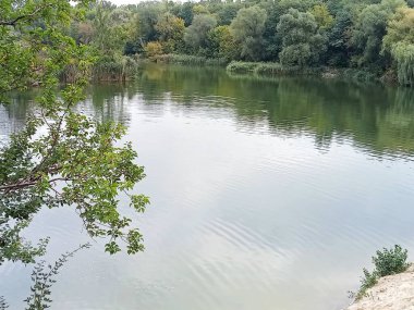 Sakin su ve yeşil yaz ağaçlarını yansıtan hafif dalgalanmalarla huzurlu göl manzarası. Kıyı şeridi bitkileri ve orman arka planına sahip doğal manzara. Sakin açık hava manzarası doğa temaları, rahatlama, ekoloji ve manzaralı arka planlar için mükemmel.
