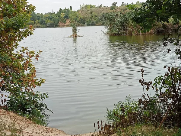 Yeşil yapraklar ve bitkilerle çerçevelenmiş huzurlu göl manzarası. Su yüzeyine, ağaçlara ve yumuşak ışığa sahip sakin doğal manzara. Sakin bir açık hava manzarası.