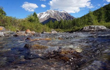Akan bir derede farklı boyutlarda çok renkli taşlar. Dönen su. Arkaplan.