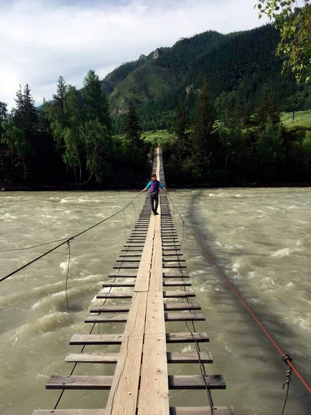 Altai. Katun nehri üzerindeki asma köprü..