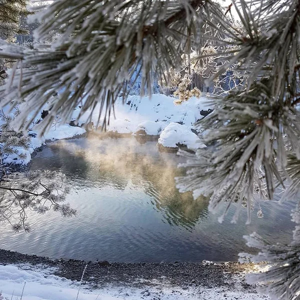 Altai. Katun nehrinin donmuş kıyıları.