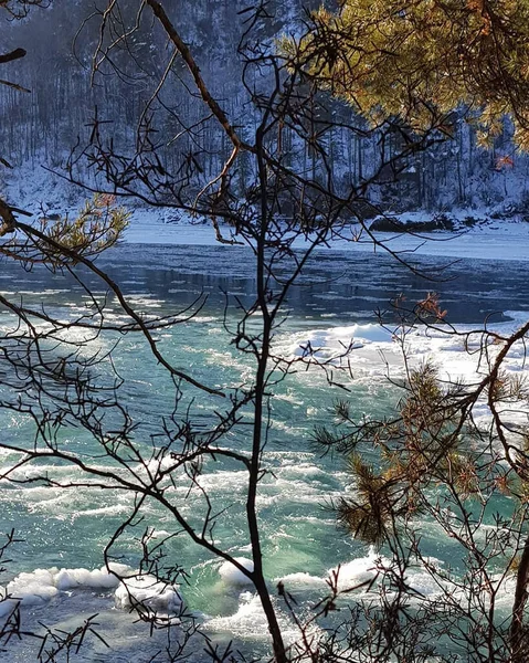 Altai. Katun nehrinin donmuş kıyıları.
