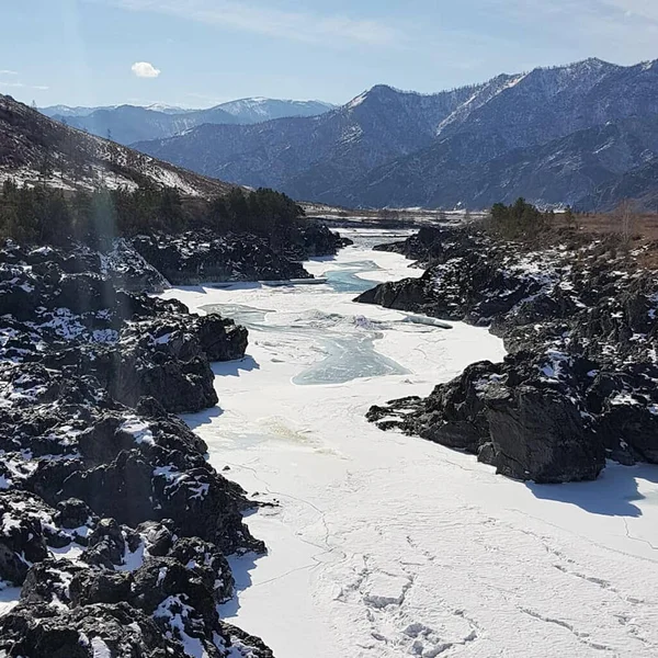 Altai. Katun nehrinin donmuş kıyıları.