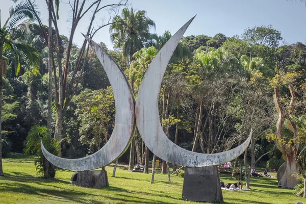 Botanic Gardens at Sao Paulo city Brazil — Stock Photo, Image