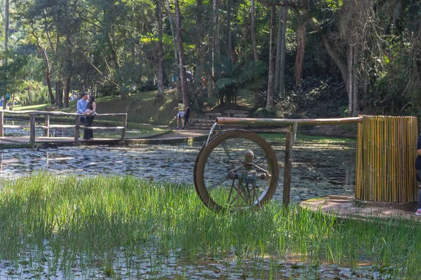 Botanische tuinen bij Sao Paulo stad Brazilië — Stockfoto