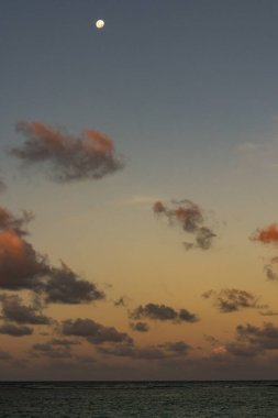 Brezilya Plajları - Tamandare Sahili, Tamandare, Pernambuco Eyaleti