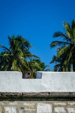 Brezilya Plajları - Tamandare Sahili, Tamandare, Pernambuco Eyaleti