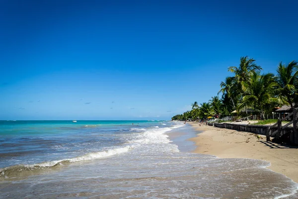 Береги Бразилії Пляж Тамандер Тамандаре Штат Пернамбуку — стокове фото