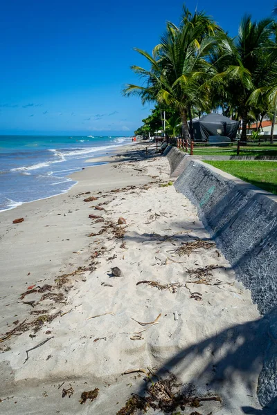 stock image Beaches of Brazil - Tamandare Beach, Tamandare, Pernambuco state