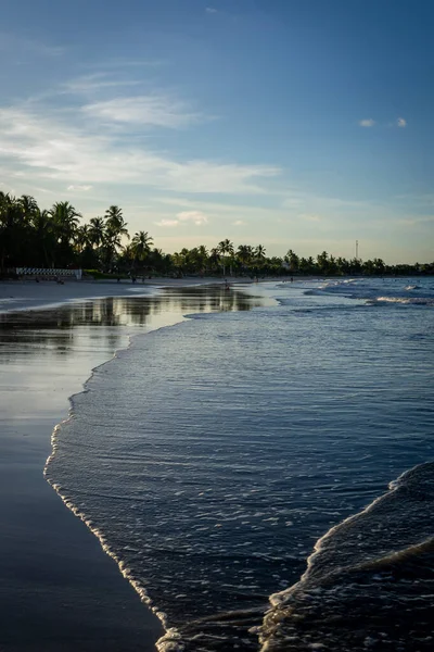 Pláže Brazílie Tamandare Beach Tamandare Stát Pernambuco — Stock fotografie