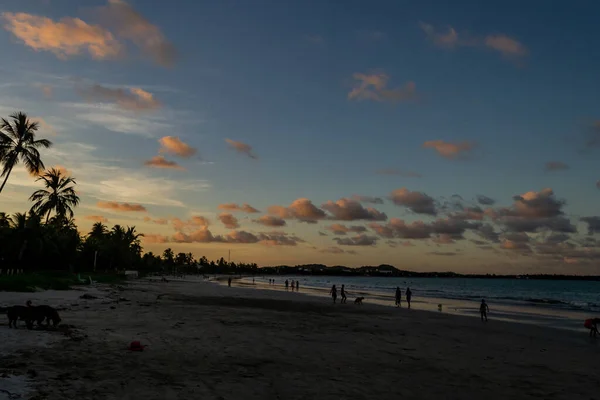 Playas Brasil Playa Tamandare Tamandare Estado Pernambuco — Foto de Stock