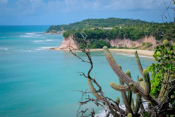 Dolphin's Bay - Pipa Beach — Stock fotografie