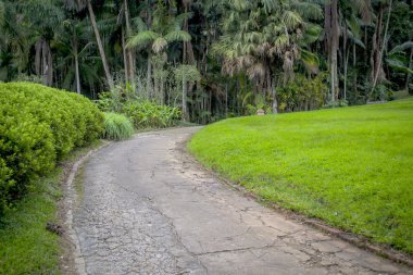 Botanical garden - São Paulo City
