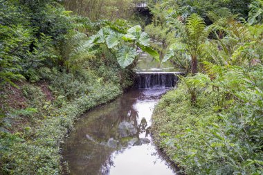 Botanical garden - São Paulo City