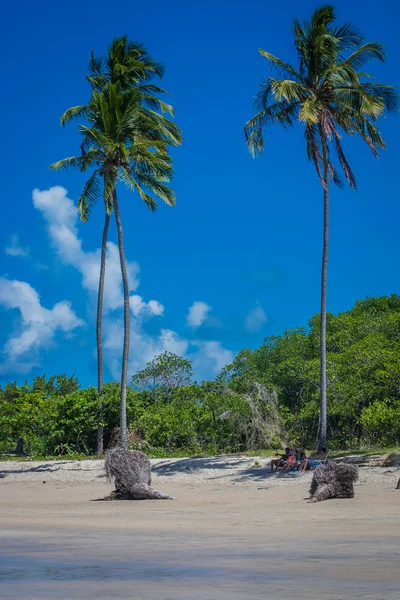 Maracaipe пляж — стокове фото