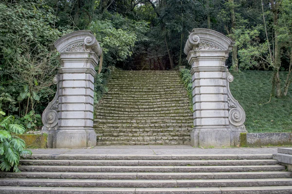 Jardín Botánico - Ciudad de San Pablo —  Fotos de Stock