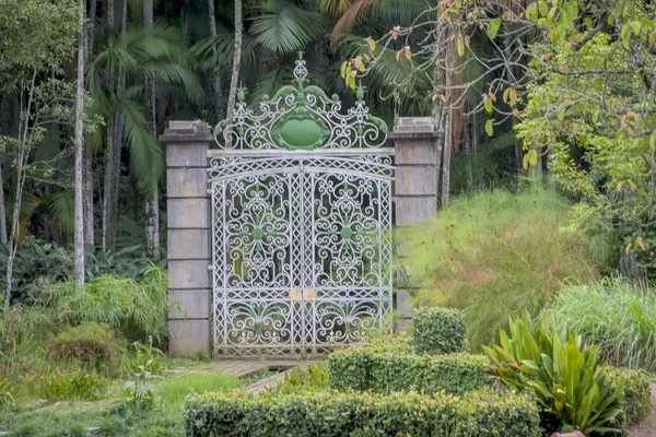 Botanical garden - São Paulo City — ストック写真