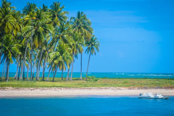 Je Carneiro Beach - Brazílie — Stock fotografie