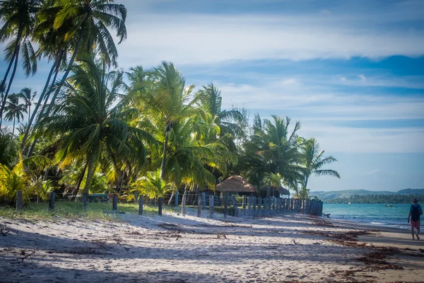 Carneiro de Beach - Brazilië — Stockfoto