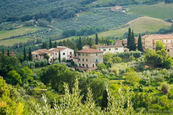 Viñedos en Toscana — Foto de Stock