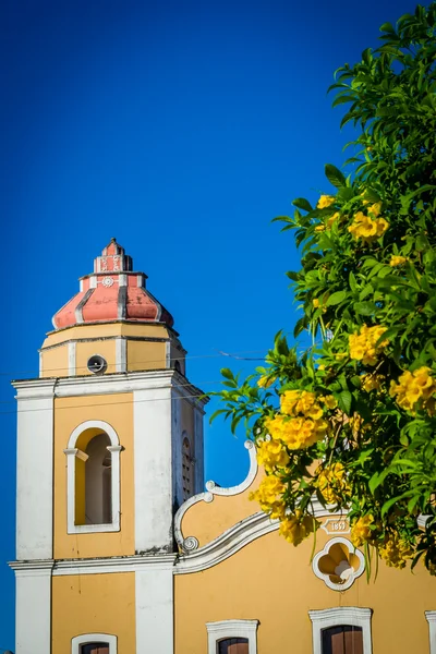 City Vicencia, Pernambuco state, Brazil. — Stock Photo, Image