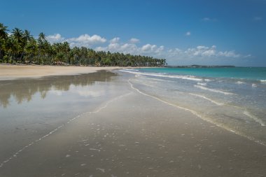 Brezilyalı plajlar - Praia de Carneiros, Pernambuco