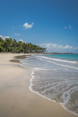 Brezilyalı plajlar - Praia de Carneiros, Pernambuco