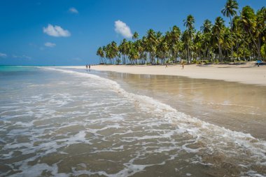 Brezilyalı plajlar - Praia de Carneiros, Pernambuco