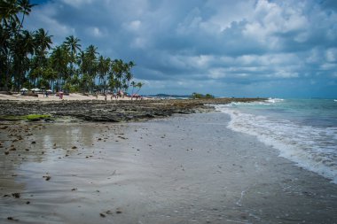 Brezilyalı plajlar - Praia de Carneiros, Pernambuco