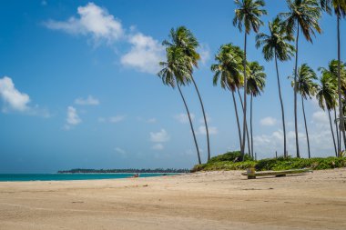 Brezilyalı plajlar - Praia de Carneiros, Pernambuco