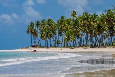 Brazilian Beaches - Praia de Carneiros, Pernambuco clipart
